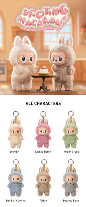Exciting Macaron Vinyl Face Blind Box Labubu