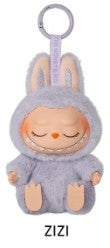 Have a Seat Vinyl Plush Blind Box Labubu (SEALED)